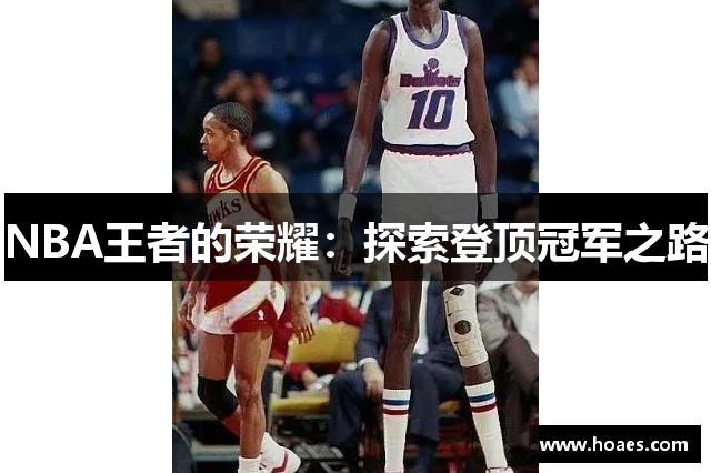 NBA王者的荣耀：探索登顶冠军之路