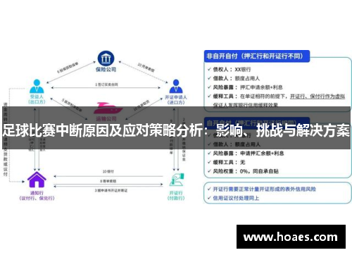 足球比赛中断原因及应对策略分析：影响、挑战与解决方案